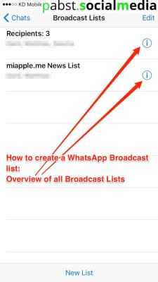 Creating a WhatsApp Broadcast List_07_overview of all lists